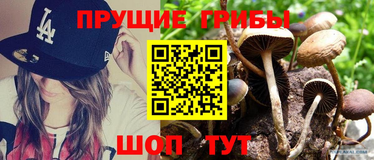 Галлюциногенные грибы Magic Shrooms Приморско-Ахтарск