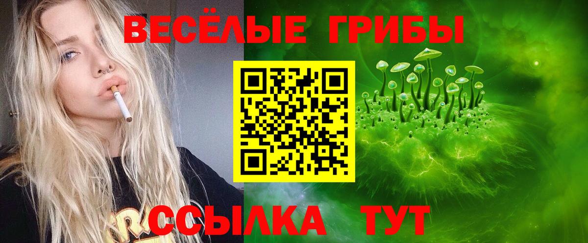 Псилоцибиновые грибы GOLDEN TEACHER  Вход с VPN  Приморско-Ахтарск 